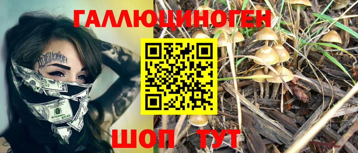 Псилоцибиновые грибы Psilocybe  Вход с VPN  Ногинск 