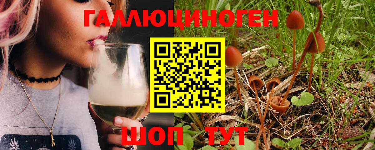 Псилоцибиновые грибы GOLDEN TEACHER Ногинск